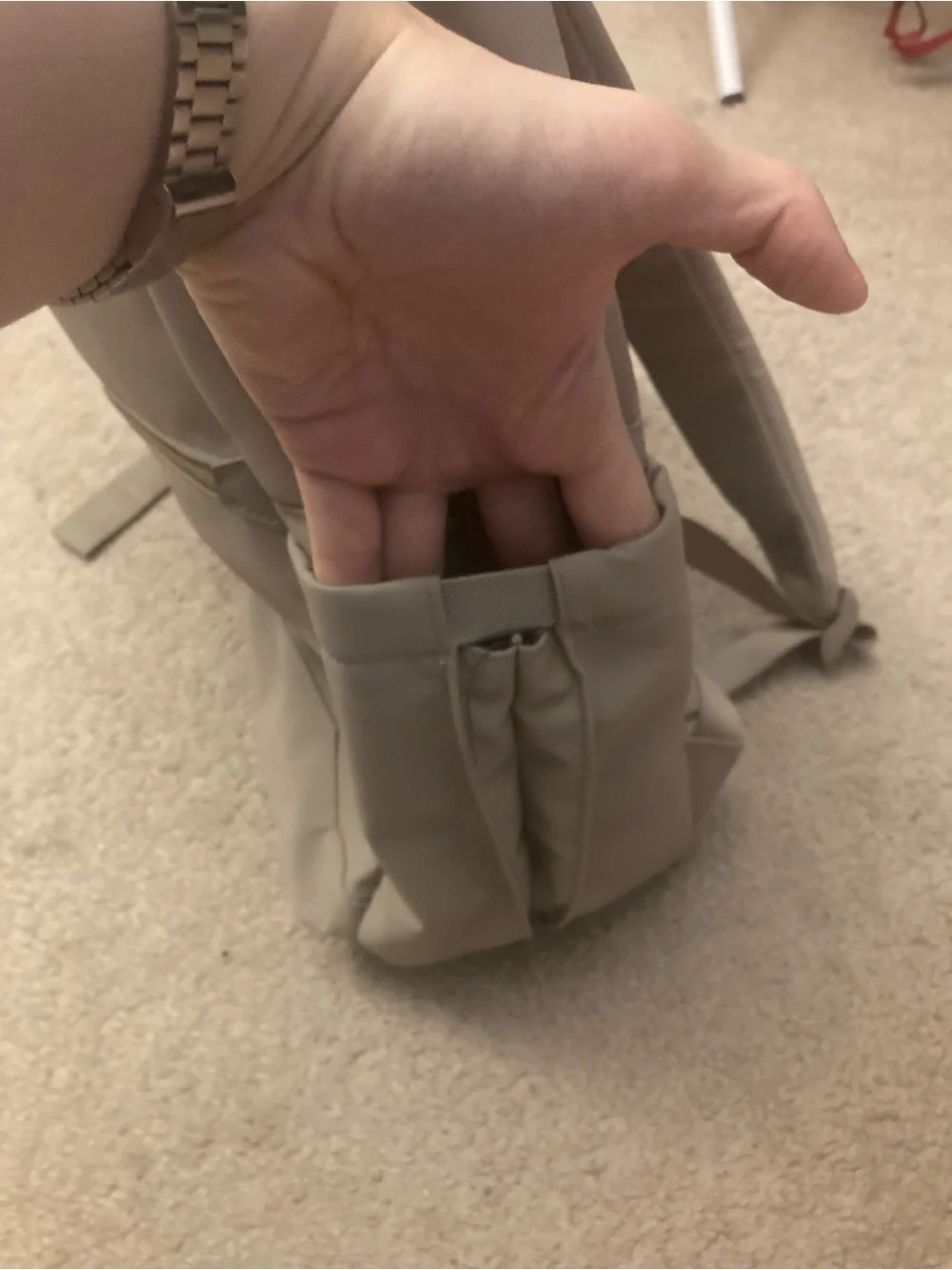 Target Soft Taupe Backpack with Gold Hardware